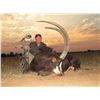 Image 5 : SPIRAL HORN SAFARIS: 5-Day Family Sable Hunt at Spiral Horn Safaris