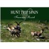Image 1 : HUNT TRIP SPAIN: 4-Day Trip to Spain for Two Hunters and Two Observers for European Roe Deer and Sig