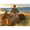 Image 1 : FOUR SEASONS SAFARIS: 5-Day New Zealand Hunt for Two Hunters in Pursuit of Red Stag, Goat, Ram and C