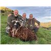 Image 5 : FOUR SEASONS SAFARIS: 5-Day New Zealand Hunt for Two Hunters in Pursuit of Red Stag, Goat, Ram and C