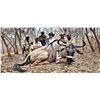 Image 2 : HERITAGE SAFARIS: 7-Day Buffalo Hunting Safari for One Hunter in The Selous Game Reserve, Tanzania f