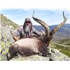 Image 1 : SPANISH IBEX HUNTS: 4-Day Southeastern Ibex Hunt in Spain for Two Hunters and Two Observers
