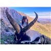 Image 3 : SPANISH IBEX HUNTS: 4-Day Southeastern Ibex Hunt in Spain for Two Hunters and Two Observers