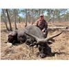 Image 5 : R&R OUTFITTERS AUSTRALIA: 4-Day Hunt for Two Hunters for Management Banteng Bull in Australia