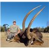Image 2 : AFRICA MAXIMUM SAFARIS: 8-Day Safari for Cape Buffalo and Sable in the North West Province of South