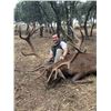 Image 2 : ATP HUNT: Superb Cantabrian Chamois and Red Stag Hunt for Two Hunter in Spain