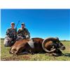 Image 8 : CATENA SAFARIS ARGENTINA: 5-Day Big Game Hunt in Argentina for Three Hunters