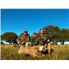 Image 9 : CATENA SAFARIS ARGENTINA: 5-Day Big Game Hunt in Argentina for Three Hunters