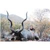 Image 1 : KOWAS ADVENTURE SAFARIS Free Range Kudu Hunt in Namibia for One Hunter Filmed and Broadcasted by Thi