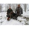Image 2 : SAFARI ART: Wild Boar Hunt in Serbia for One Hunter and One Observer