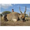Image 2 : TOLILE GAME LODGE: 5-Day Plains Game Hunt To Include Buffalo for Six Hunters and Four Observers