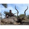 Image 5 : TOLILE GAME LODGE: 5-Day Plains Game Hunt To Include Buffalo for Six Hunters and Four Observers