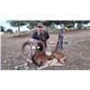Image 2 : SPANISH IBEX AND CHAMOIS: 9-Day Hunt for One Hunter and One Non-Hunter in Beautiful Spain