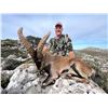 Image 1 : Spanish Hunt for 2 Couples - Wild Hunting Spain