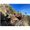 Image 2 : Spanish Hunt for 2 Couples - Wild Hunting Spain