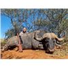 Image 2 : 5 day Cape Buffalo for Two – Excellent Safaris