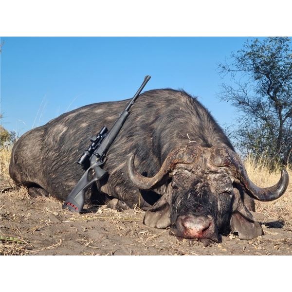5 Day Cape Buffalo Hunt – Stone Hunting Safaris