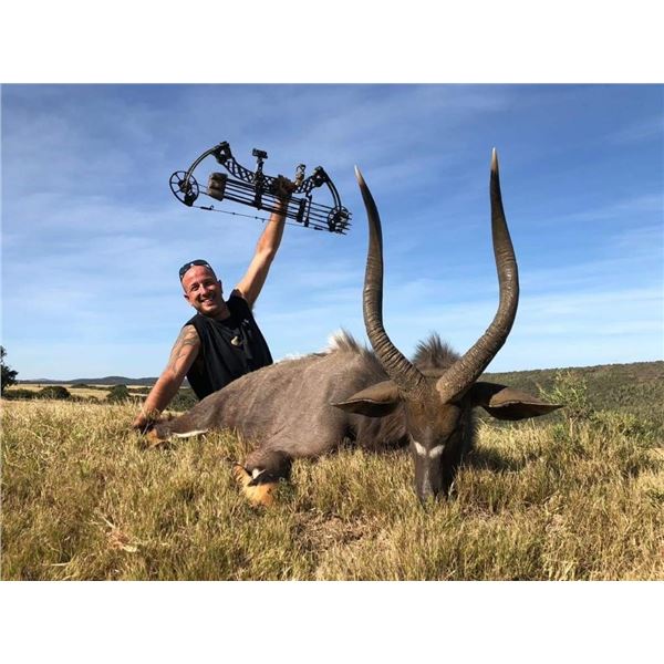 Nyala and Impala for 4 Hunters – Khangela African Safaris