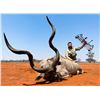 Image 3 : Kudu Hunt for 2 – Rhinoland Safaris