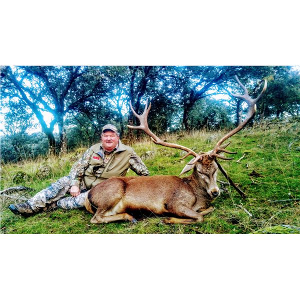 Spain Red Stag Hunt for 2 – Spanish Ibex Hunts