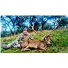 Image 1 : Spain Red Stag Hunt for 2 – Spanish Ibex Hunts