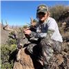 Image 4 : 6 Day Archery Coues Deer hunt for 2 hunters and 1 non hunter in AZ (Dates 2025-2026) Donated by: Old