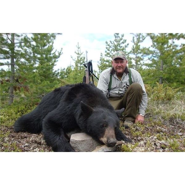 5-day spring black bear hunt for 4 hunters outside of Fort St. James, BC. (May 1- Jun 15, 2025) Dona
