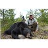 Image 1 : 5-day spring black bear hunt for 4 hunters outside of Fort St. James, BC. (May 1- Jun 15, 2025) Dona