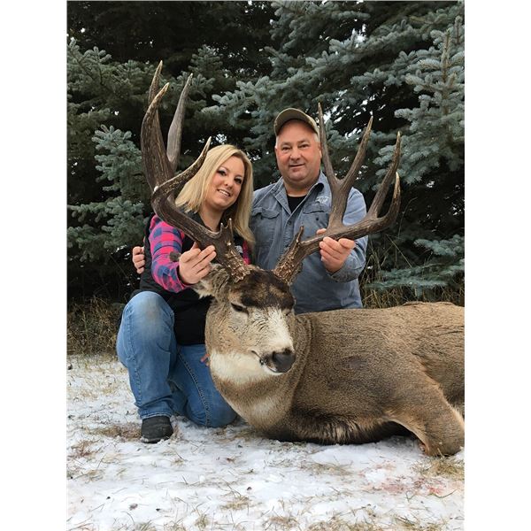 6-day archery Mule Deer hunt ranging from 175 to 200+ inch mule deer for one hunter in Edmonton, AB,