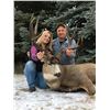 Image 1 : 6-day archery Mule Deer hunt ranging from 175 to 200+ inch mule deer for one hunter in Edmonton, AB,