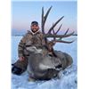 Image 2 : 6-day archery Mule Deer hunt ranging from 175 to 200+ inch mule deer for one hunter in Edmonton, AB,