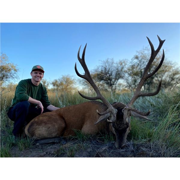 7 day Argentina free range Red Stag hunt for one hunter. (Dates Mar 1- May 30, 2024 or 2025) Donated