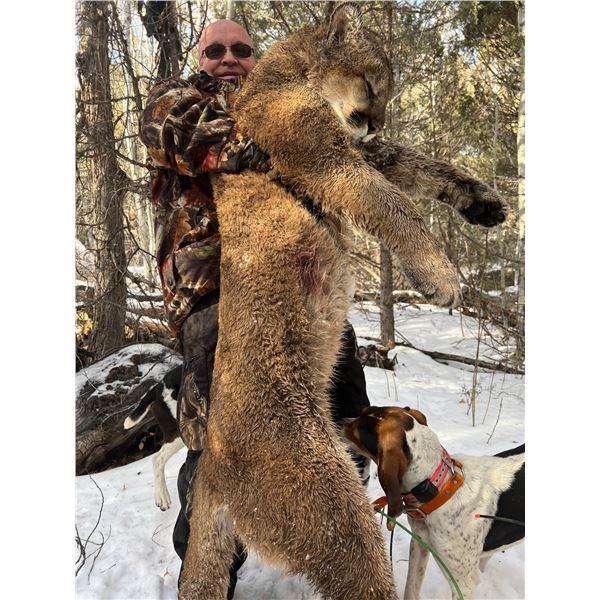 5 Day Utah Mountain Lion hunt for 1 hunter (Dates March 25-29 2024 or 2025 Donated by: Graylight Out