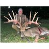 Image 1 : 4 day Whitetail hunt for up to 300" whitetail in PA for (Dates 2024-2025 Sept-  Dec.) Donated by: Qu