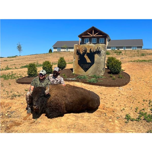 3 Day Buffalo Bull Hunt in Athens Ohio for 2024-2025 seasons with Double Play Hunting Preserve