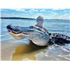Image 1 : 2 Day Gator Hunt up to 12ft in south Florida (Dates Sept- Oct. 2024) Donated by: Professional Guide