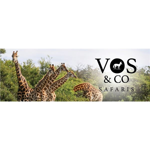 6-Day Giraffe hunt for 1 hunter in South Africa with VOS & CO Safaris