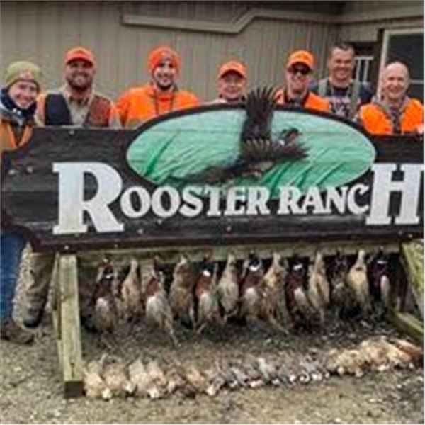 2-Day Pheasant Hunt for 4 hunters in Michigan with Rooster Ranch LLC.