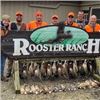 Image 1 : 2-Day Pheasant Hunt for 4 hunters in Michigan with Rooster Ranch LLC.
