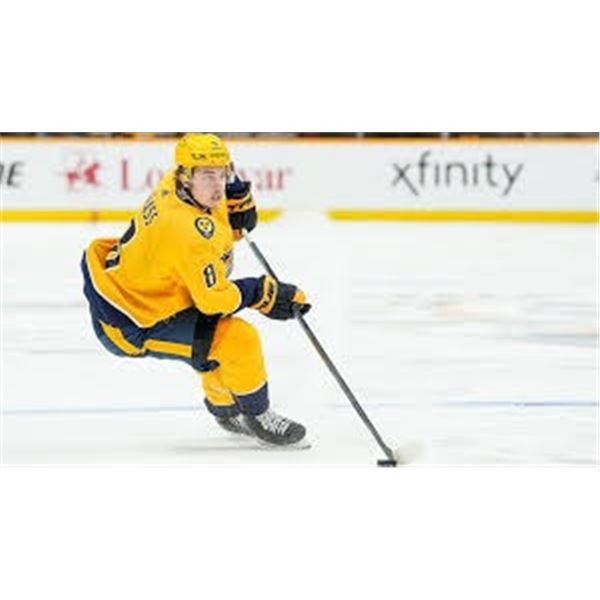 2 Premium Predators tickets on the glass