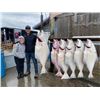 Image 1 : 2024 Alaska Kenai Peninsula Fishing Trip for Two (2) People