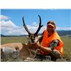 Image 2 : 2024 Colorado Statewide Pronghorn License