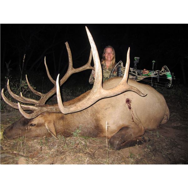 2024 Utah San Juan Bull Elk Conservation Permit - Archery