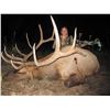 Image 1 : 2024 Utah San Juan Bull Elk Conservation Permit - Archery