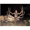 Image 2 : 2024 Utah San Juan Bull Elk Conservation Permit - Archery