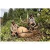 Image 1 : 2024 Utah Manti Bull Elk - Multi-Season