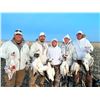 Image 3 : 2-Day Colorado Spring Snow Goose Hunt for Four (4) Hunters