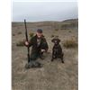 Image 2 : 2-Day California Quail Hunt for Two (2) Hunters