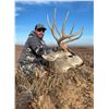 Image 1 : 2024 New Mexico Mule deer Hunt for 2 on Private ground