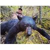 Image 1 : 5-Day Idaho Black Bear Hunt for One (1) Hunter